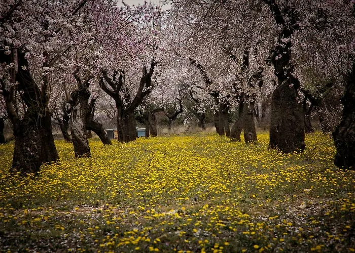 Casa Jou * Abella de la Conca