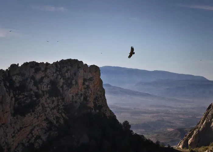 Ferienhaus Casa Jou Abella de la Conca
